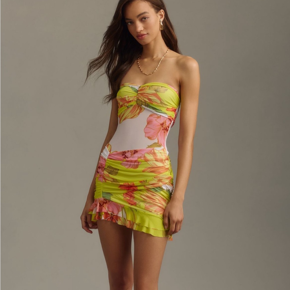 AFRM Laney Sheer Panel Mesh Floral Print Strapless Mini Dress Sz. Small